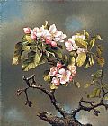 Branch of Apple Blossoms against a Cloudy Sky by Martin Johnson Heade